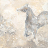 Grey Horse II by Chris Paschke. SKU 37178a. Archival Giclee Fine art print for wall decor.