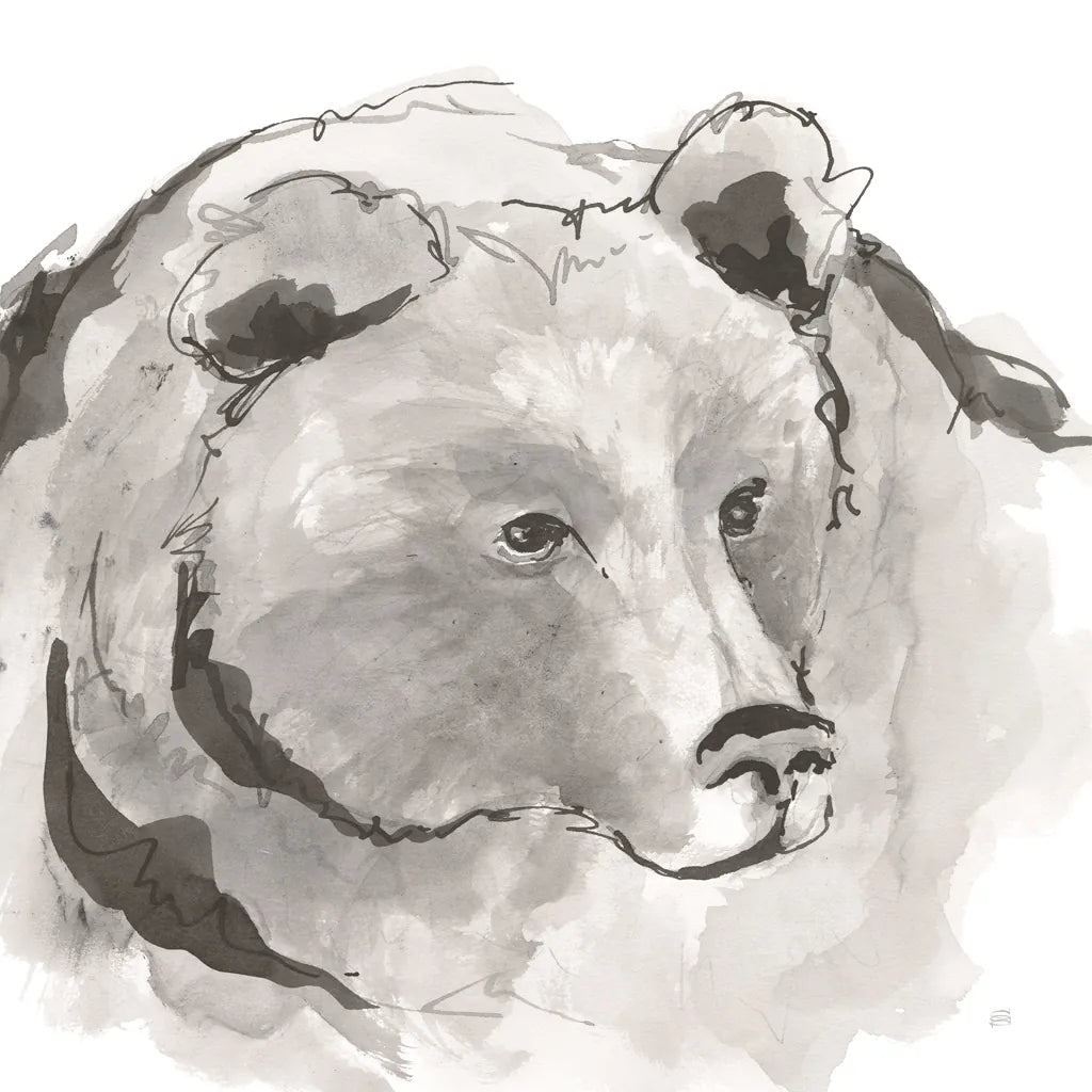 Grizzly I by Chris Paschke. SKU 85512a. Archival Giclee Fine art print for wall decor.