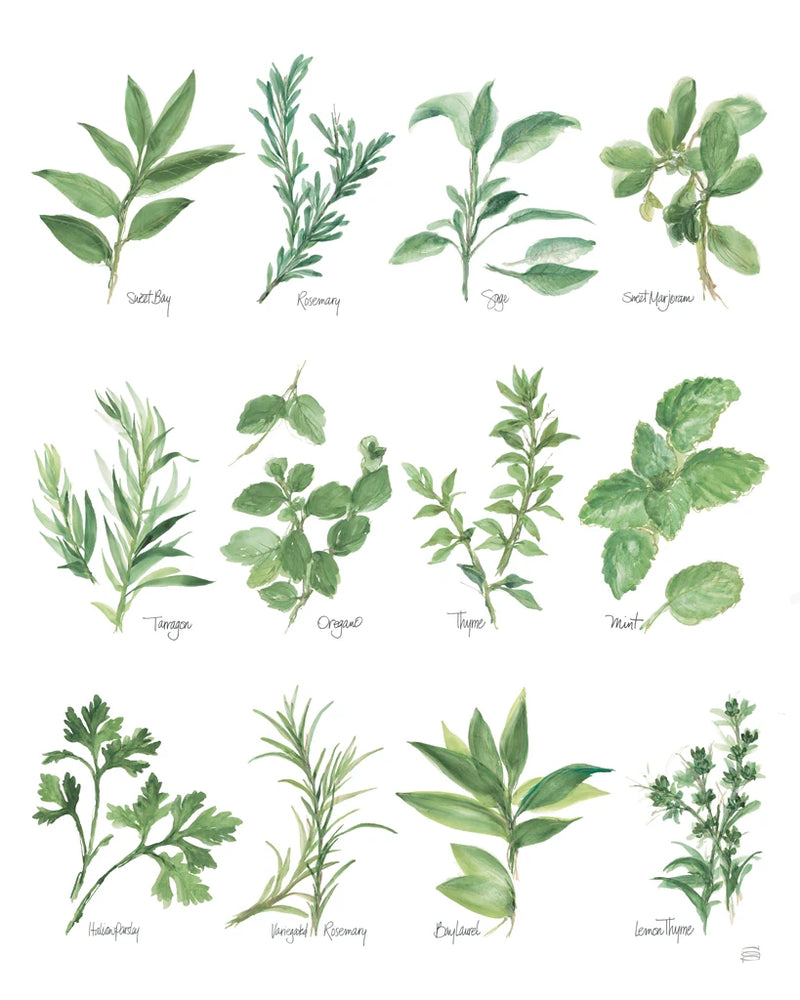Herb Chart by Chris Paschke