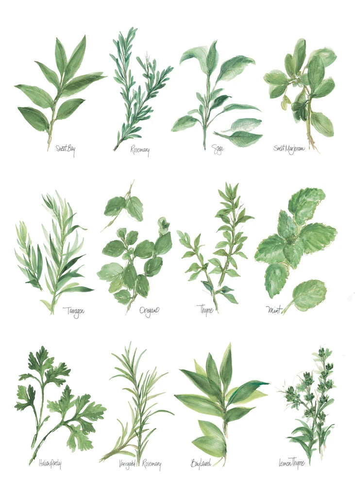 Herb Chart by Chris Paschke