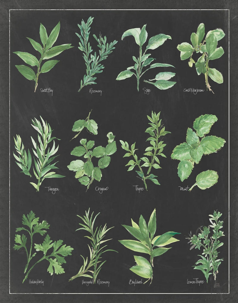 Herb Chart on Black White Border by Chris Paschke