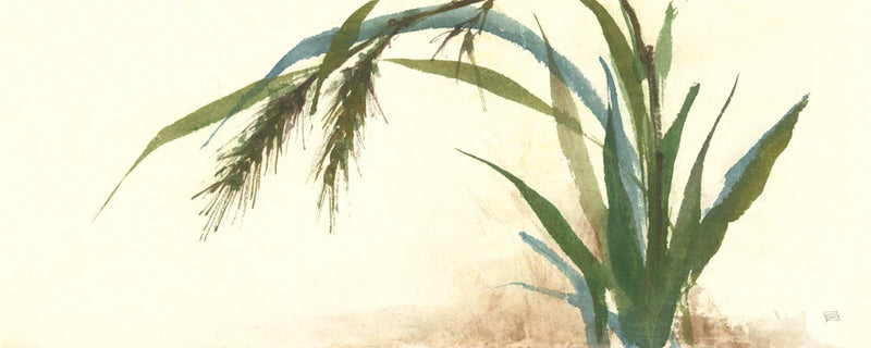 Horizontal Grass II by Chris Paschke