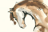 Horse Head II by Chris Paschke. SKU 49930i. Archival Giclee Fine art print for wall decor.