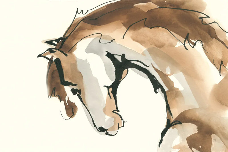 Horse Head II by Chris Paschke. SKU 49930i. Archival Giclee Fine art print for wall decor.