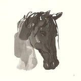 Horse Portrait I by Chris Paschke. SKU 62498a. Archival Giclee Fine art print for wall decor.