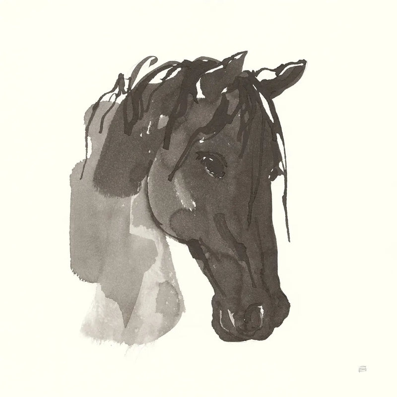 Horse Portrait I by Chris Paschke. SKU 62498a. Archival Giclee Fine art print for wall decor.