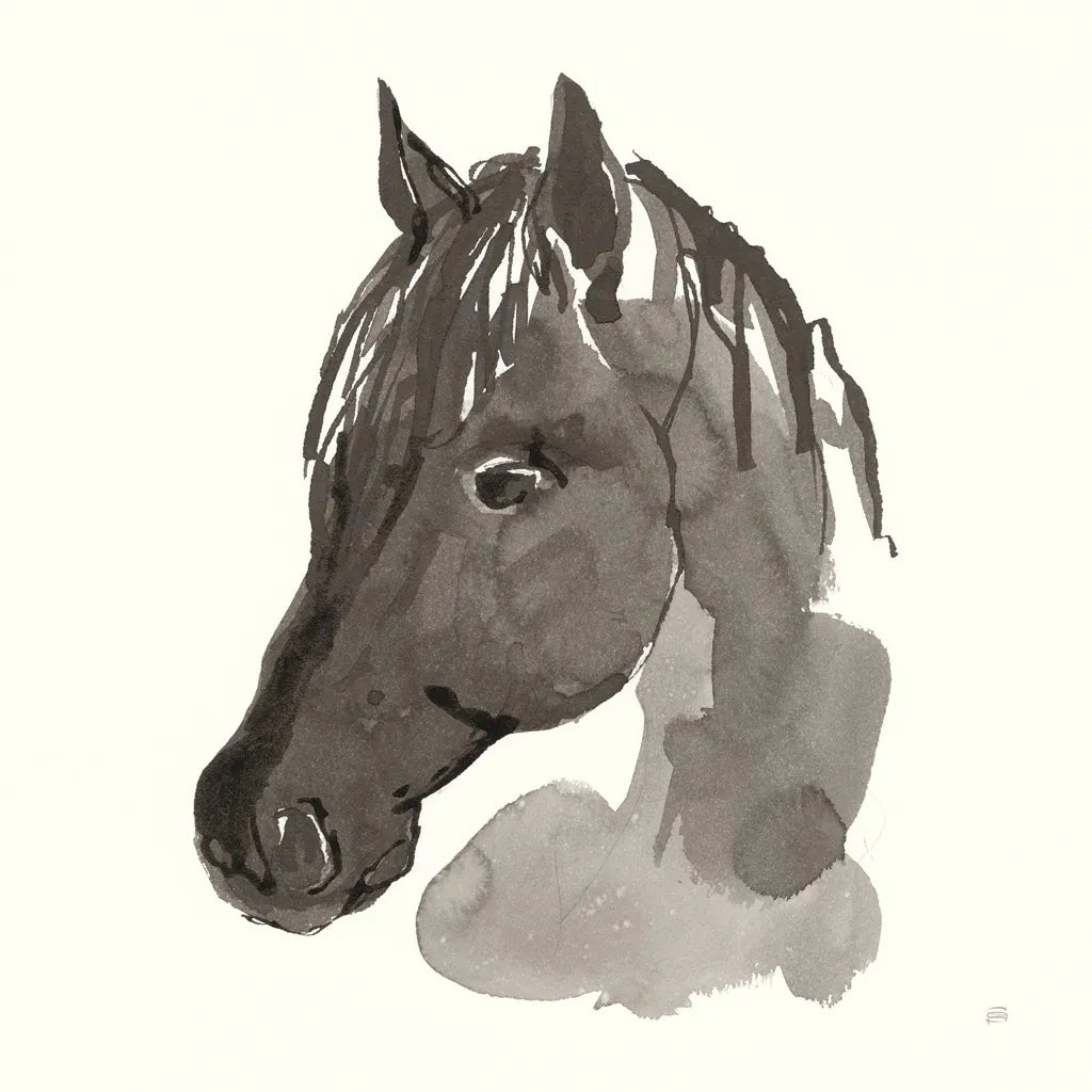 Horse Portrait II by Chris Paschke. SKU 62499a. Archival Giclee Fine art print for wall decor.
