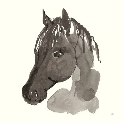 Horse Portrait II by Chris Paschke. SKU 62499a. Archival Giclee Fine art print for wall decor.
