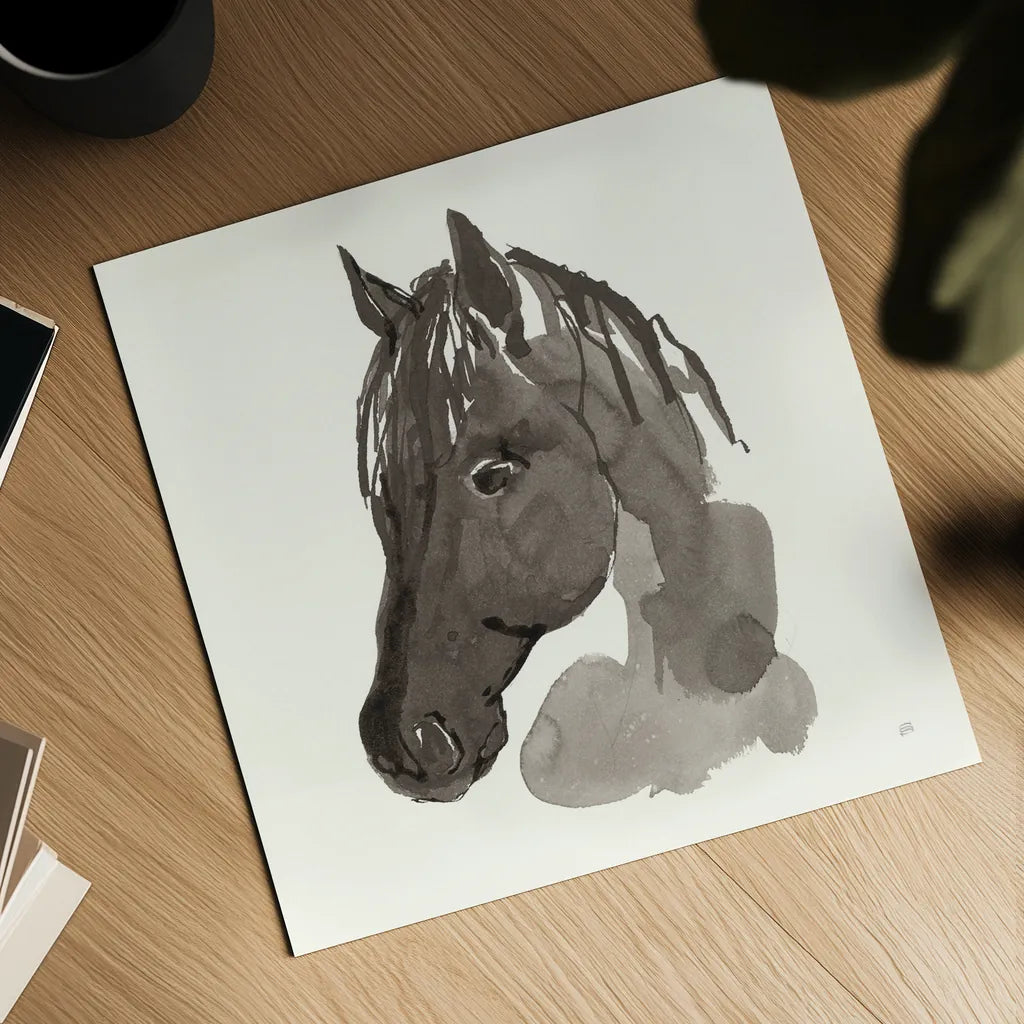 Horse Portrait II by Chris Paschke. Shown as a detailed flat fine art print, highlighting archival giclee quality. Available as an archival giclee rolled canvas, fine art paper, or poster print. SKU 62499a.