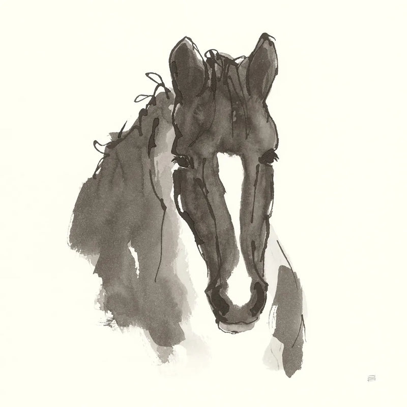 Horse Portrait III by Chris Paschke. SKU 62500a. Archival Giclee Fine art print for wall decor.