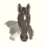 Horse Portrait IV by Chris Paschke. SKU 62501a. Archival Giclee Fine art print for wall decor.