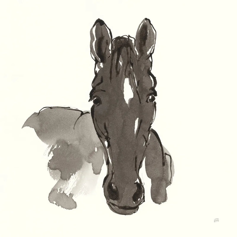 Horse Portrait IV by Chris Paschke. SKU 62501a. Archival Giclee Fine art print for wall decor.