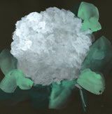 Hydrangea I by Chris Paschke. SKU 80803a. Archival Giclee Fine art print for wall decor.