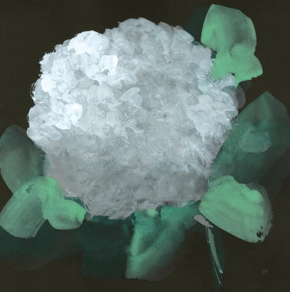 Hydrangea I by Chris Paschke. SKU 80803a. Archival Giclee Fine art print for wall decor.