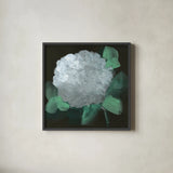 Hydrangea I by Chris Paschke. Shown in a sleek black glass frame for a contemporary gallery look. Available as an archival giclee rolled canvas, fine art paper, or poster print. SKU 80803a.