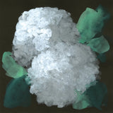 Hydrangea II by Chris Paschke. SKU 80804a. Archival Giclee Fine art print for wall decor.