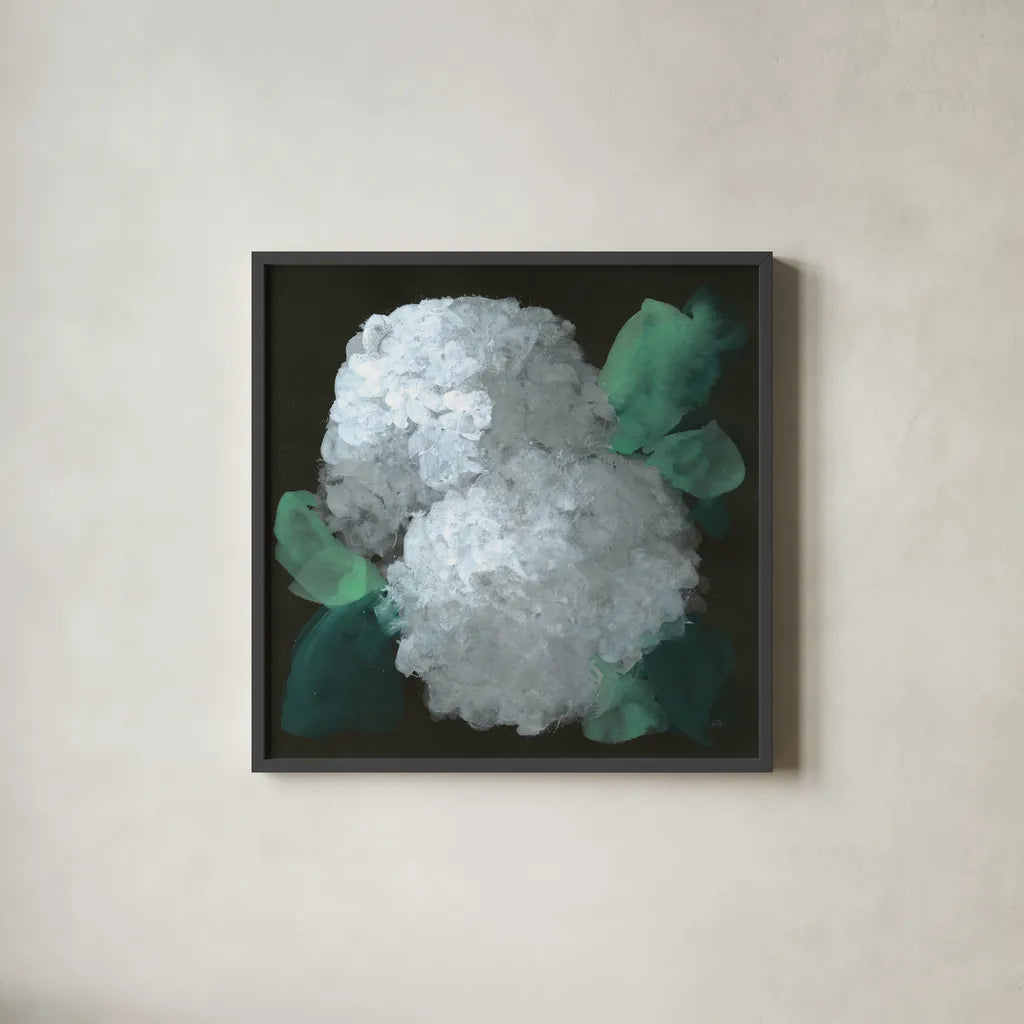 Hydrangea II by Chris Paschke. Shown in a sleek black glass frame for a contemporary gallery look. Available as an archival giclee rolled canvas, fine art paper, or poster print. SKU 80804a.