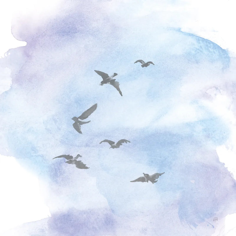 In Flight II by Chris Paschke. SKU 95447a. Archival Giclee Fine art print for wall decor.