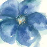 Indigo Mint IV by Chris Paschke. SKU 34001a. Archival Giclee Fine art print for wall decor.