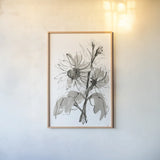 Ink Sunflower I by Chris Paschke. shown as a paper print in a natural frame. Available as a archival giclee rolled canvas, fine art paper, or poster print. SKU 74362h.