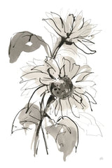 Ink Sunflower II by Chris Paschke. SKU 74363h. Archival Giclee Fine art print for wall decor.