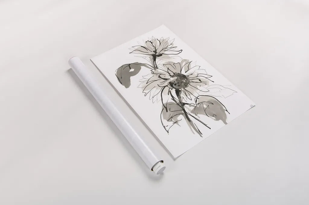 Ink Sunflower II by Chris Paschke. shown as a rolled paper print. Available as archival giclee rolled canvas, fine art paper, or poster print. SKU 74363h.