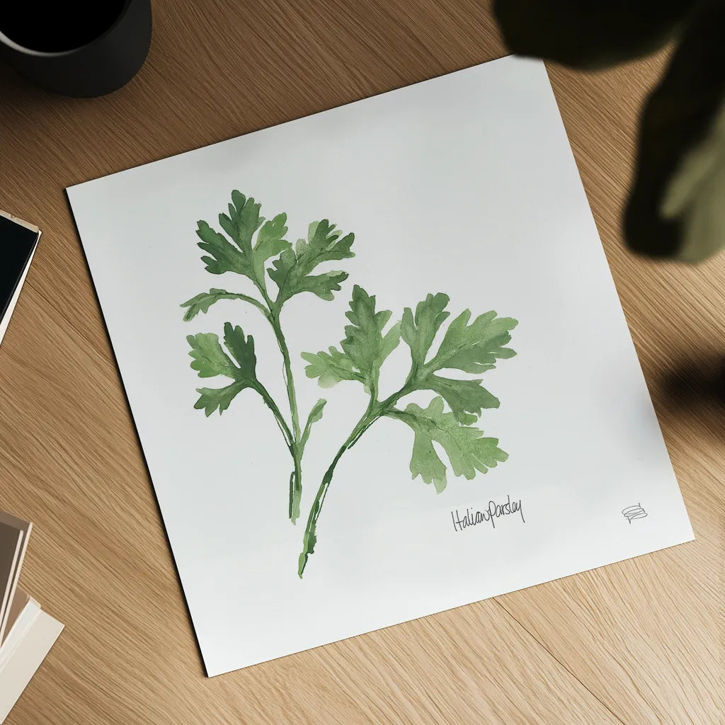 Italian Parsley v2 by Chris Paschke. Shown as a detailed flat fine art print, highlighting archival giclee quality. Available as an archival giclee rolled canvas, fine art paper, or poster print. SKU 28466a.