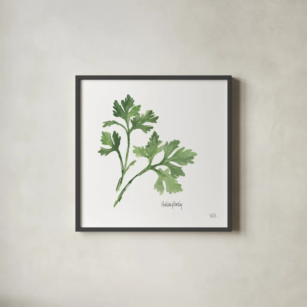 Italian Parsley v2 by Chris Paschke. Shown in a sleek black glass frame for a contemporary gallery look. Available as an archival giclee rolled canvas, fine art paper, or poster print. SKU 28466a.