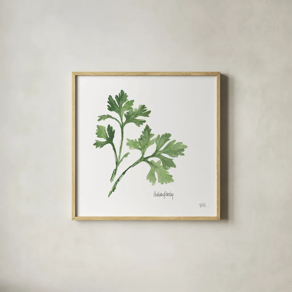 Italian Parsley v2 by Chris Paschke. Shown in a natural wood glass frame for a timeless modern aesthetic. Available as an archival giclee rolled canvas, fine art paper, or poster print. SKU 28466a.