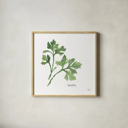 Italian Parsley v2 by Chris Paschke. Shown in a natural wood glass frame for a timeless modern aesthetic. Available as an archival giclee rolled canvas, fine art paper, or poster print. SKU 28466a.