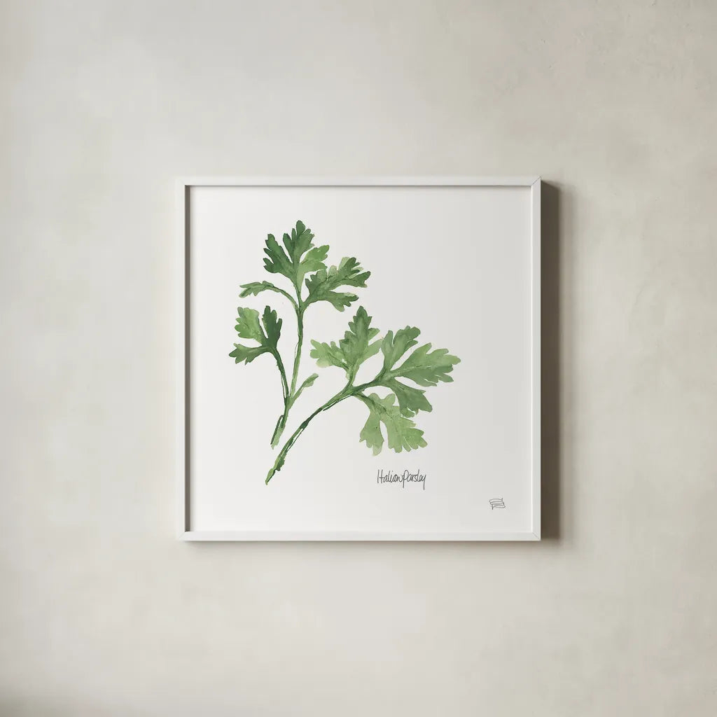 Italian Parsley v2 by Chris Paschke. Shown in a crisp white glass frame for a clean and minimalist style. Available as an archival giclee rolled canvas, fine art paper, or poster print. SKU 28466a.
