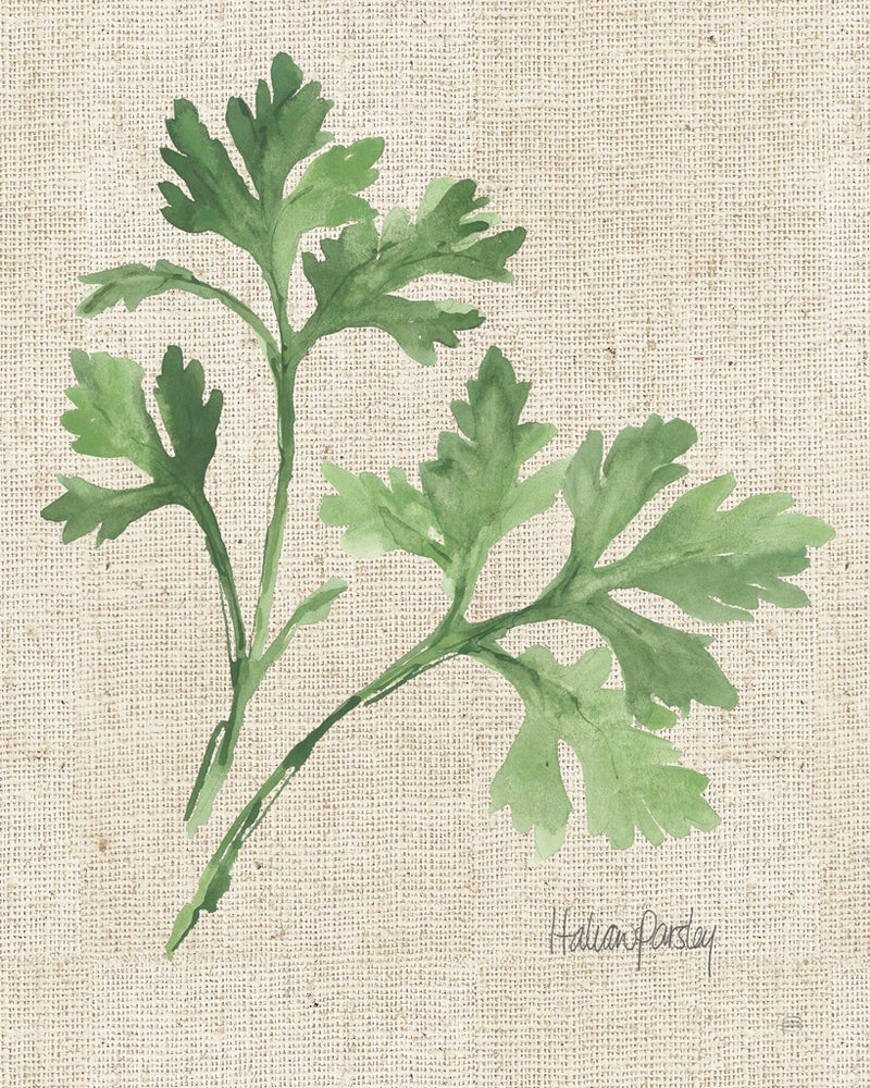 Italian Parsley v2 on Burlap by Chris Paschke