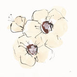Ivory Poppies III by Chris Paschke. SKU 91444a. Archival Giclee Fine art print for wall decor.