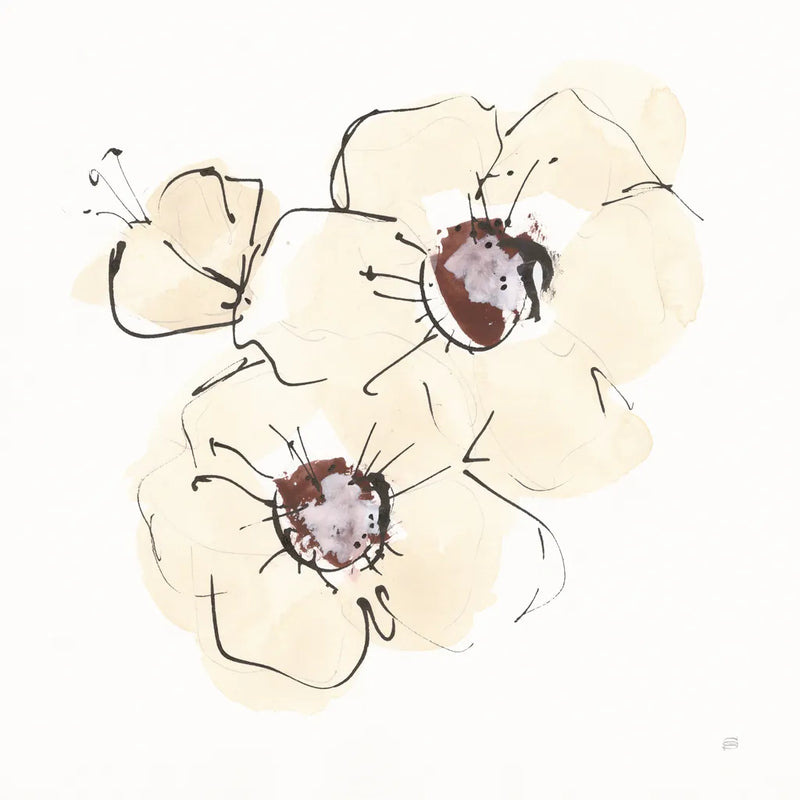 Ivory Poppies III by Chris Paschke. SKU 91444a. Archival Giclee Fine art print for wall decor.