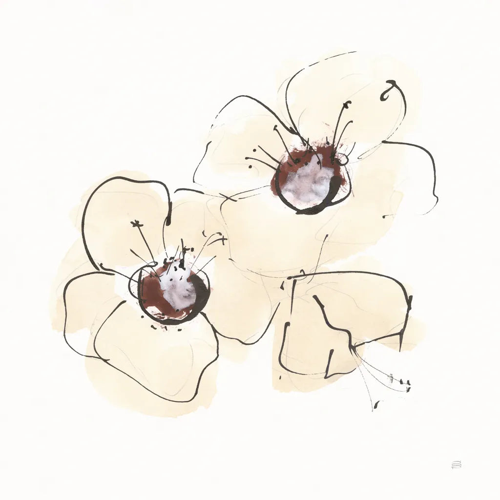 Ivory Poppies IV by Chris Paschke. SKU 91445a. Archival Giclee Fine art print for wall decor.