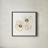 Ivory Poppies IV by Chris Paschke. Shown in a sleek black glass frame for a contemporary gallery look. Available as an archival giclee rolled canvas, fine art paper, or poster print. SKU 91445a.