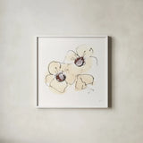Ivory Poppies IV by Chris Paschke. Shown in a crisp white glass frame for a clean and minimalist style. Available as an archival giclee rolled canvas, fine art paper, or poster print. SKU 91445a.