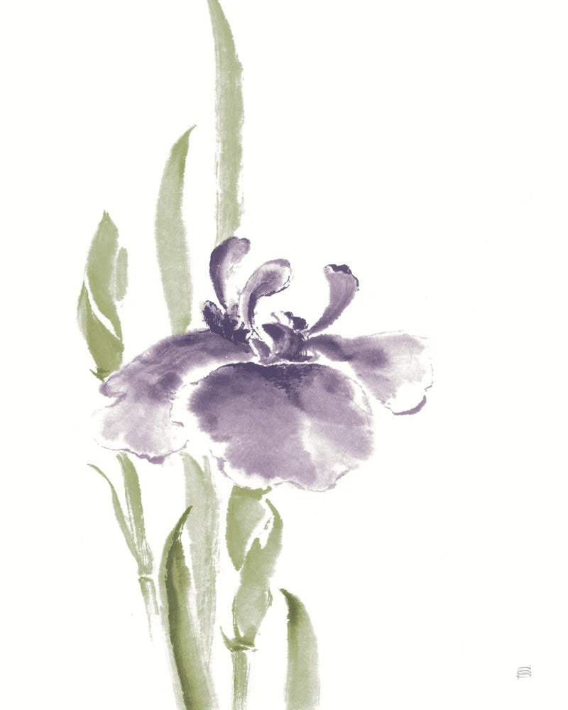 Japanese Iris II Purple Crop by Chris Paschke