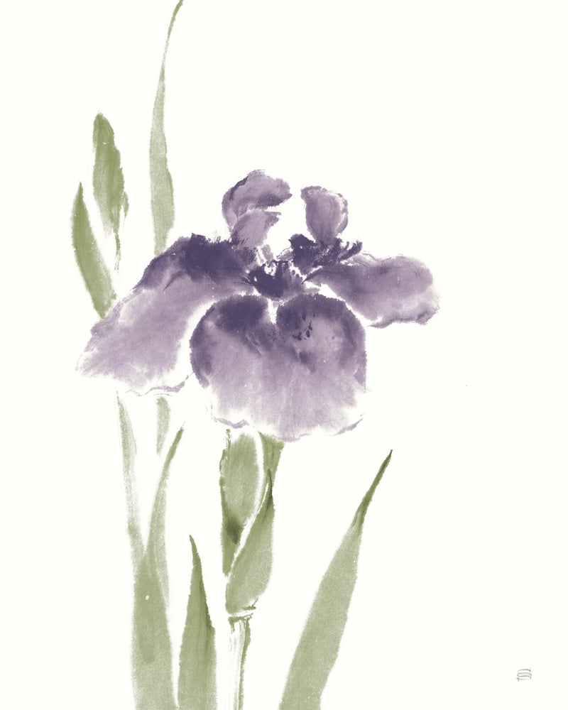 Japanese Iris III Purple Crop by Chris Paschke