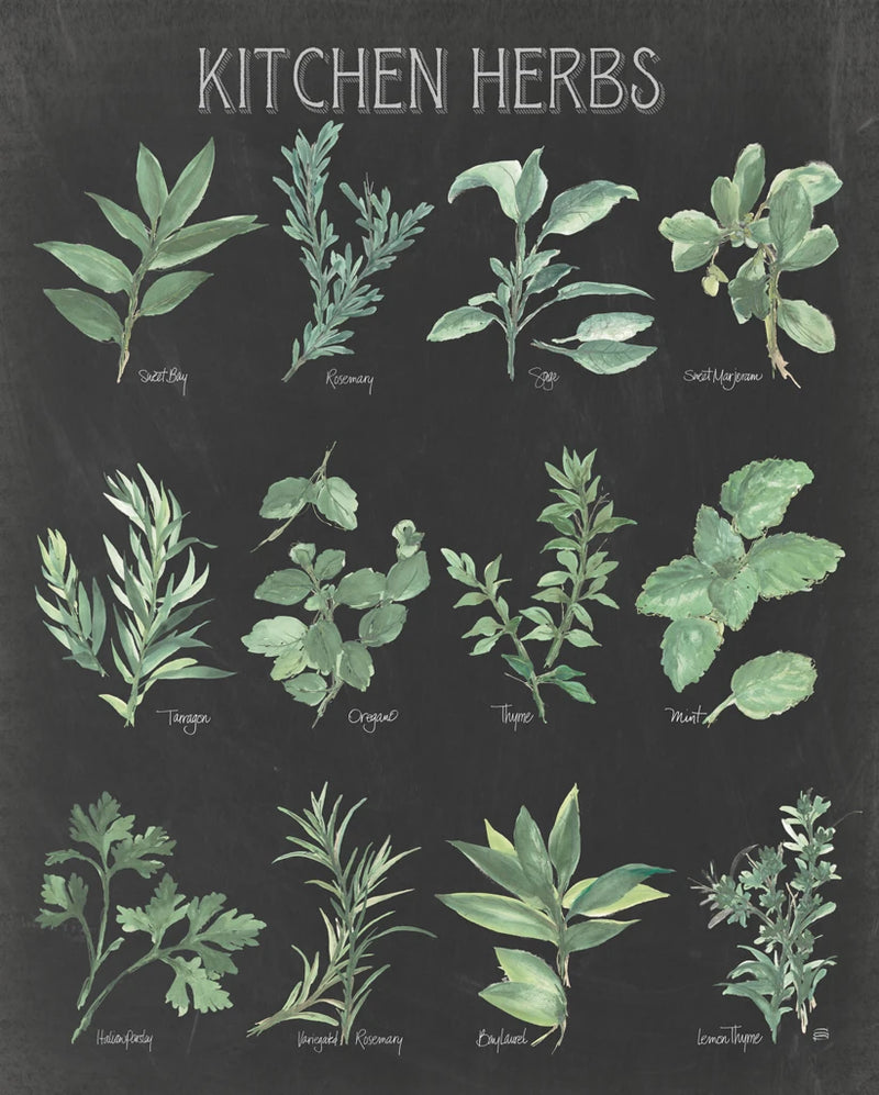 Kitchen Herb Chart on Black I by Chris Paschke
