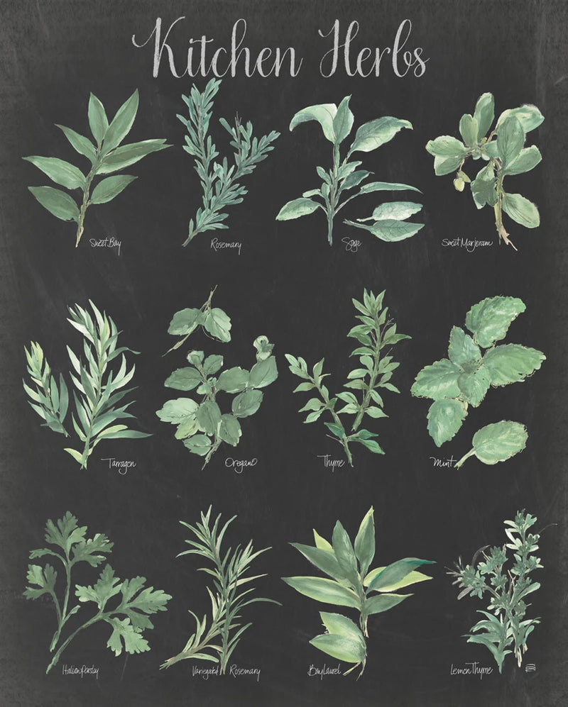 Kitchen Herb Chart on Black II by Chris Paschke