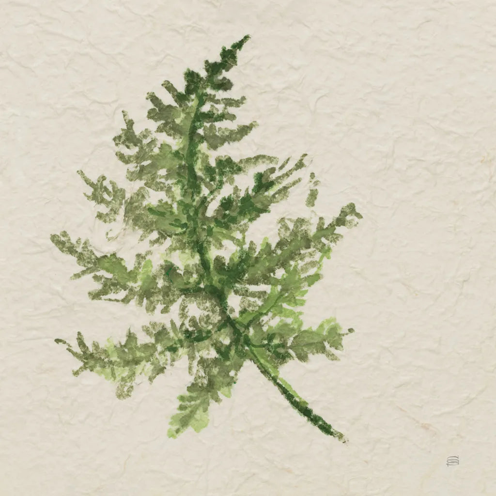 Kozo Fern I by Chris Paschke. SKU 95414a. Archival Giclee Fine art print for wall decor.