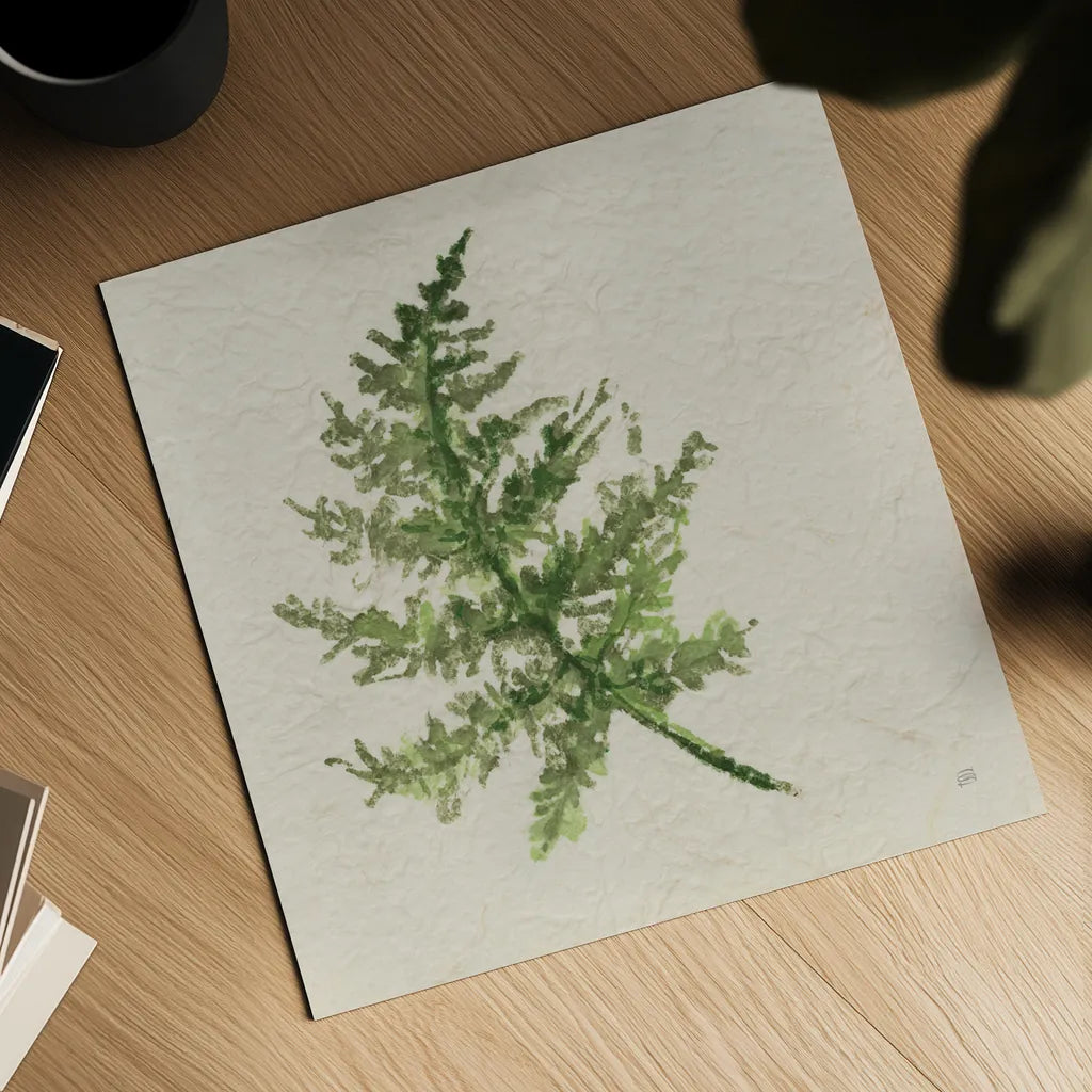 Kozo Fern I by Chris Paschke. Shown as a detailed flat fine art print, highlighting archival giclee quality. Available as an archival giclee rolled canvas, fine art paper, or poster print. SKU 95414a.