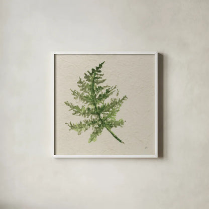 Kozo Fern I by Chris Paschke. Shown in a crisp white glass frame for a clean and minimalist style. Available as an archival giclee rolled canvas, fine art paper, or poster print. SKU 95414a.
