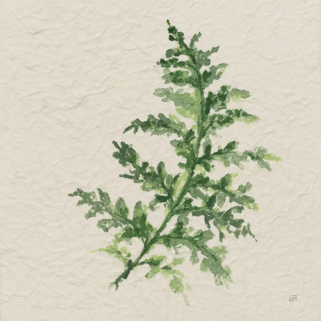 Kozo Fern II by Chris Paschke. SKU 95415a. Archival Giclee Fine art print for wall decor.