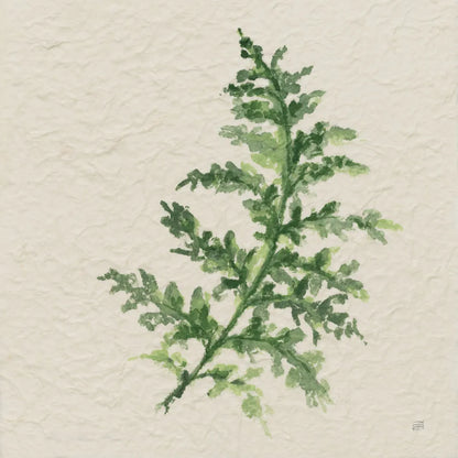 Kozo Fern II by Chris Paschke. SKU 95415a. Archival Giclee Fine art print for wall decor.