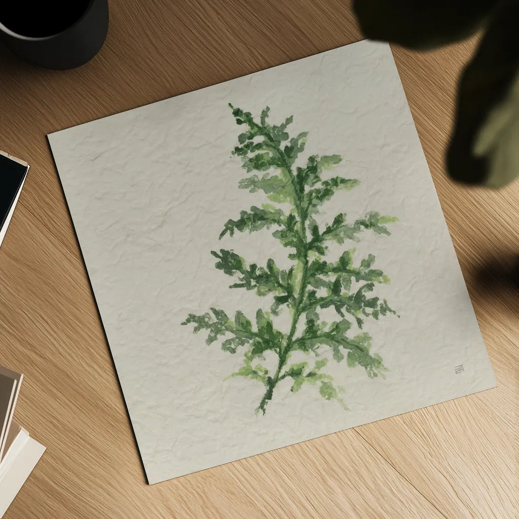 Kozo Fern II by Chris Paschke. Shown as a detailed flat fine art print, highlighting archival giclee quality. Available as an archival giclee rolled canvas, fine art paper, or poster print. SKU 95415a.
