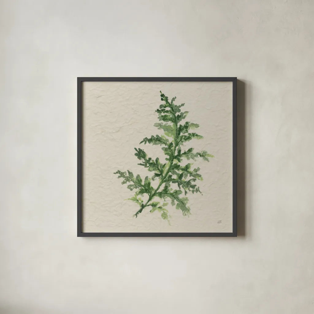 Kozo Fern II by Chris Paschke. Shown in a sleek black glass frame for a contemporary gallery look. Available as an archival giclee rolled canvas, fine art paper, or poster print. SKU 95415a.