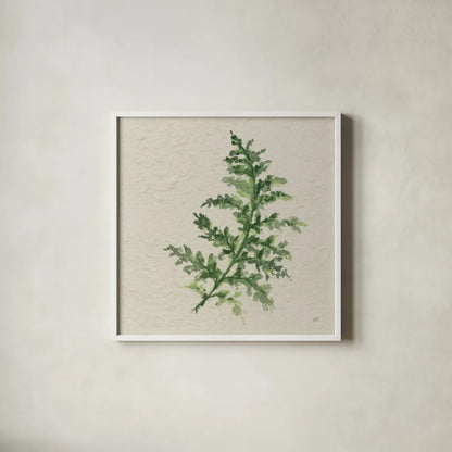 Kozo Fern II by Chris Paschke. Shown in a crisp white glass frame for a clean and minimalist style. Available as an archival giclee rolled canvas, fine art paper, or poster print. SKU 95415a.