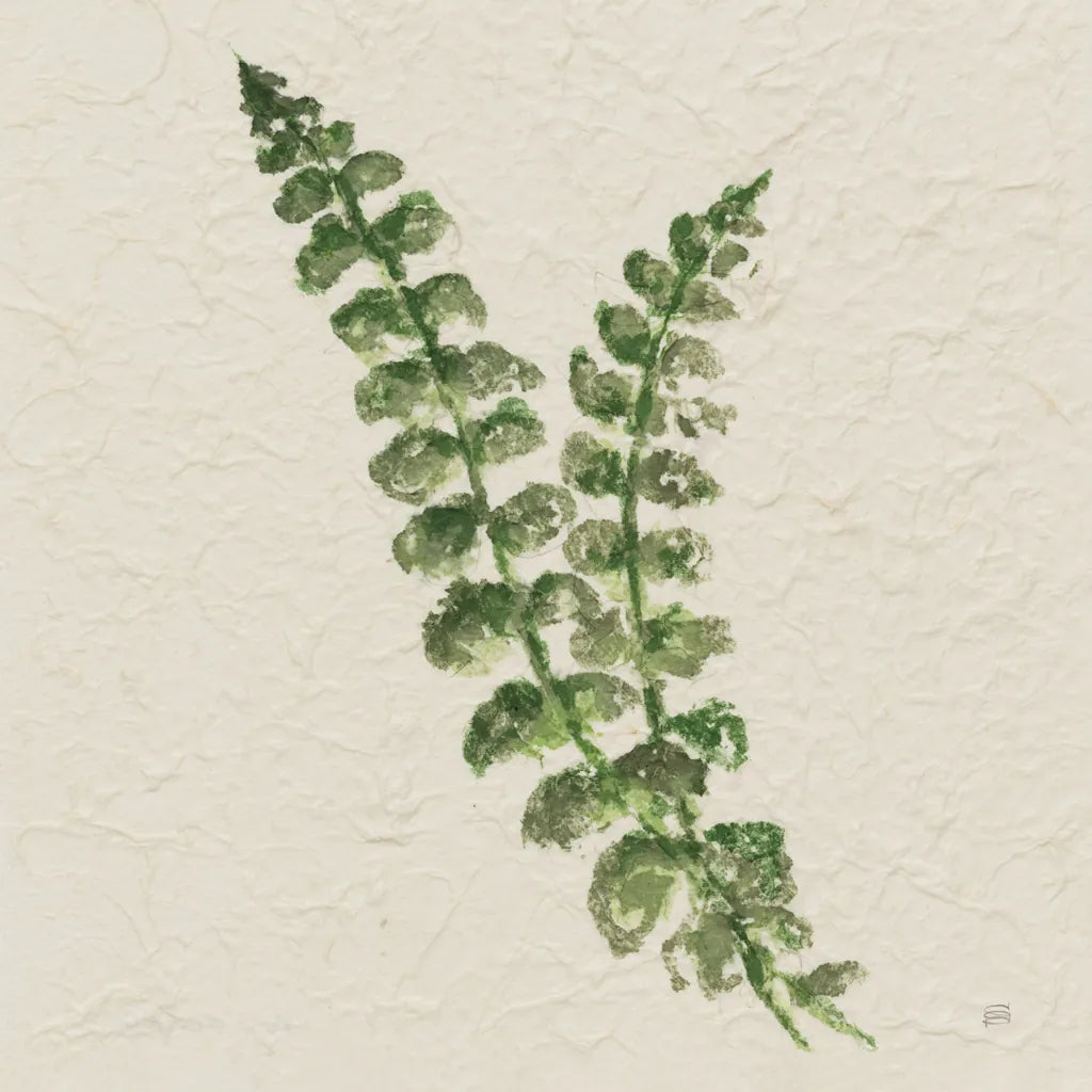 Kozo Fern III by Chris Paschke. SKU 95416a. Archival Giclee Fine art print for wall decor.